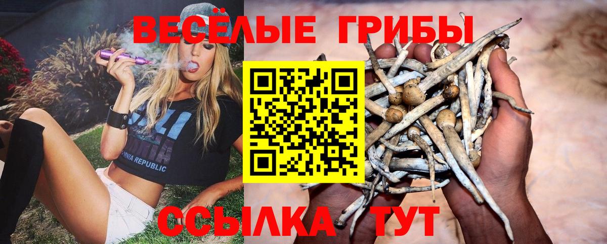 Псилоцибиновые грибы ЛСД  Вход с VPN  Псилоцибиновые грибы GOLDEN TEACHER  Шелехов 